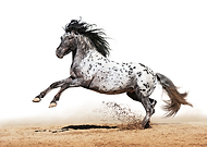 2022-09-07/2921d703648ba59369c0baa13a9c76de_acbccbdf8655beb22dc72d91803c625c