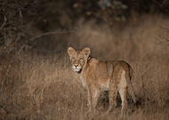 2022-09-07/33e3a221200a828b718f69f6e2117169_5aa3d8ba638952eeed18b17169b842dd