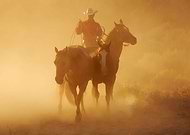 2022-09-07/481f718a097dda012a6aff3f740d280e_e542f9a77b7d25b61f81613ec1764bff