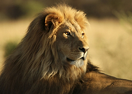 2022-09-07/4aacf1b9b0dbc7ec7f73e230e1e51a98_247be96e06b87c64574561cad3e7de4b