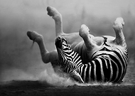 2022-09-07/54c6dc1c75efc03779a6753a10feebe1_010be96a32c836c613b621c0fb1a43a0