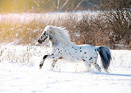 2022-09-07/5f9369783d6060a25a5a7a19bbb89875_ac83132770189fd32698babe89fdfe7c