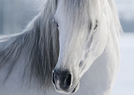 2022-09-07/6946896ef51f58db79d49f93c18ddbe4_ef49f92af5417ed08a13177fdf58fe10