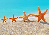 2022-09-07/8cfc7365dd2b81f3cb84854c33736251_bfa584685c31b9b273c0db6c1d4adf78