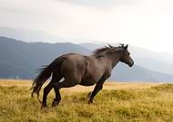 2022-09-07/968e45d605929a7e89c3ec51345f8b11_c4f43c86f5ef104ed9842b4c75291ec6