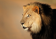 2022-09-07/ae32f8a057328cbaf16d2be97958c721_57a13279a3f792b7fa33008c1f82947e