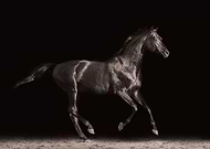 2022-09-07/b115a6bd9a6696e87623196a4418e67c_c4f43c86f5ef104ed9842b4c75291ec6