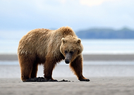 2022-09-08/4cb6150b65e232a6bbf340a211cad284_32e95a7f609b7ef8a6cf329e6b198ed4