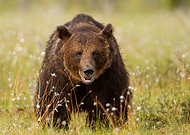 2022-09-08/60ce27d732582ae1540aed2187e212f5_687a9a3f0a2a1472f8d7bb1300785eea