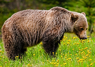 2022-09-08/7ae07e002d4c93839cccf3a0d3dbd563_687a9a3f0a2a1472f8d7bb1300785eea