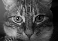 2022-09-11/7adfe26e6a86b32d59e32b8370ca1099_c244a01f3c454a8122ddf75bd2e87219