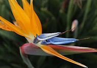 2022-09-11/a3bd64b42296dc65fb44da29df310eb9_62cb24ae28a6bc2530c0b32328b54dc9