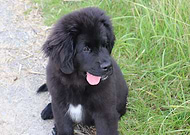 2022-09-12/067c16861bf9b4d33d76f7ec2e6969d5_3734ed787178259ba4432a80dd0a3c2e