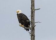 2022-09-14/eb754ec6b3deb3f2b1e898ace4dcb38d_3e00679c72b202d09eab8e4c5f8c2f9c