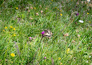 2022-09-18/6bdc98001aa03ec7b172d1008e2ba3d0_40ca239c59cd9e6d25c7106c83bc0354