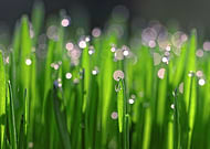 2022-09-20/4ead88411fcb08bd6661ad66a652034c_fb57e7317f8d4e81a2268af4a561d7cd