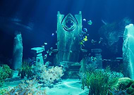 2022-09-23/e98c1c6f0a8e21609a46eaad86e0fefd_a4797c83d2d7ad6e0c6a384d89fd06b4