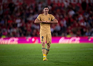 collection-preview-3