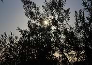 2022-10-06/fc3d0a4a7c6c66ec38467024372f5739_3eb31fec7e7e6b3d4c6ec713a45392e2