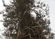 2022-10-07/b755452fb62e68c5b6b7aa10b316ef02_02326db9ae05df48614ebd1c804f3e58