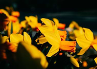 2022-10-18/f46321313a8e9933347df1cc402625e0_35148dd4afd9f1473177a6f0e939f8f5