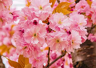 2022-10-19/f4cd6fb23fdaf140ee957f1eee4799cd_2bf7d3003498069ab1ae7c79c95addab