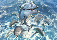 2022-11-01/ae16dbc1c3cd93efae6f3bf8fe198c8a_a7e7cb1857e3fbb976c8a4b3b94964c3