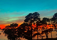 2022-11-02/4606bf18b64e624c1dbd5f03b859f364_44108ebae8d608f5f69416f3d414f029