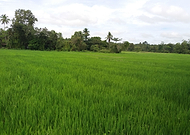 2022-11-04/b02613a214ced2c85a58984b26e066a5_d5996cbbcf8aebc19957093440b7a4db