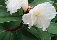 2022-11-05/38080ad86027ed1bb6942546dccddce3_18549842b9d5d6df72f3a244f906f803