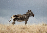 2022-11-09/b36796c6a8a2ef6ff3a409bd17dbee2d_c2704c7c99f42133c39300368c3e9e17