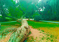 2022-11-12/6999a37ac76c0fb11578a960dec5bde3_a0b7e3567ad1e7f2df5caef522c030dd