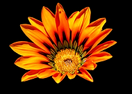 2022-11-12/e222e56d838b21dc90b6c4bd1411f0b4_6a894ead8035a60d13bd3b10bc1ca7ef