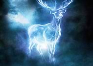 collection-preview-3