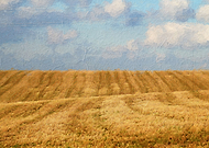 2022-11-15/9f23ededa5558fa3a5949e268ad86fe3_6d8799f25b2dee3d5b002b007787cb7f