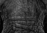 2022-11-15/b6fc58a3093400e6cfbd039edc6c9139_69de02dbf5b2f081828a4624fc798237