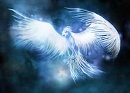 collection-preview-3