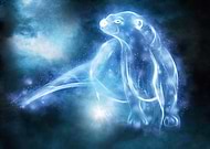 collection-preview-2