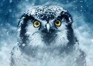 2022-11-19/6b410a0ea2d45c7f1fbd7a46ae588f9d_abf50c596c9fed52252e67bfc6cd7289