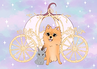 2022-11-25/d33c089b3695c29a472a8b04786cc4c1_c35763a131d24b6286b99a7b38f2d579