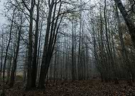 2022-11-30/7ef4e6f7109039fbcb6dd4e012c24fd3_688d9671e0aeb15a49ca74921dbf2b2e