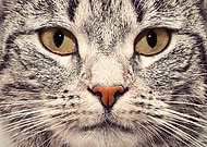 2022-12-07/b26ee9eda37fc3ea92a047685948a552_05f8a96dc5ded128119162f20277bc48