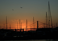 2022-12-10/406ebaa200397dc16601bc94f92482c8_22cd19877abc7a4c335ae5d49e81658b