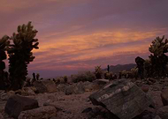 2022-12-14/9d8d42a37d70f4661d84fe0cd7447c1a_b26b96973aa009ea2aeeaa4230450352