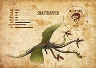 collection-preview-3