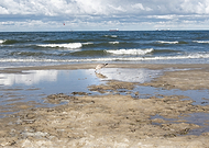 2022-12-15/00f6c7804050ddc9cf3f54df4fa035e3_5ed5c0ca34a4c559caa83f0da4a771a0