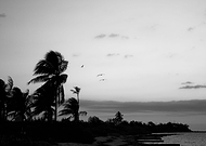 2022-12-20/32484251e54e3d8d4cda5fd28d190829_574e27b86df2203f512beb6666d1b3a4