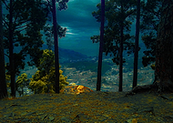 2022-12-29/bc3f678cc6282eb6b54920012750de2b_79e10b82fdd5f6cbfd005638d02cf806