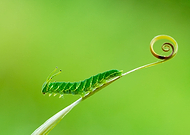 2023-01-02/8eeaeaf49327bb4b8b7f03dfbb6db0d4_789d782bbf0dc9d836a1067623d71e24