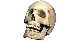 2023-01-02/be4145ee319da9629bce06507345542f_9e0422b121b63525e60f10620b7ce508